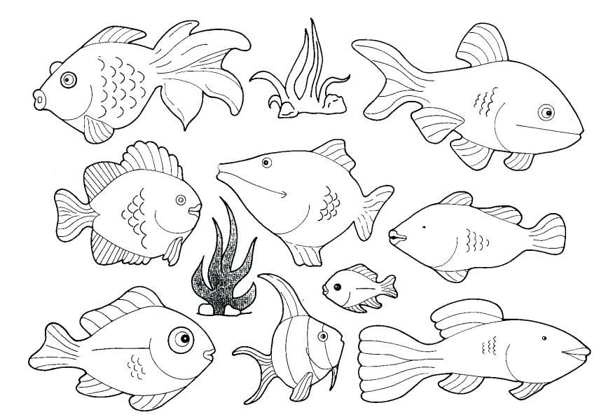 875x595 Colorado Fish Pictures Of To Color X Ray Coloring Page 8 Modest