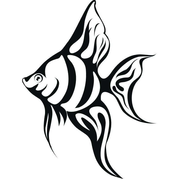 736x736 Realistic Fish Coloring Pages Delightful Fish Coloring E Image