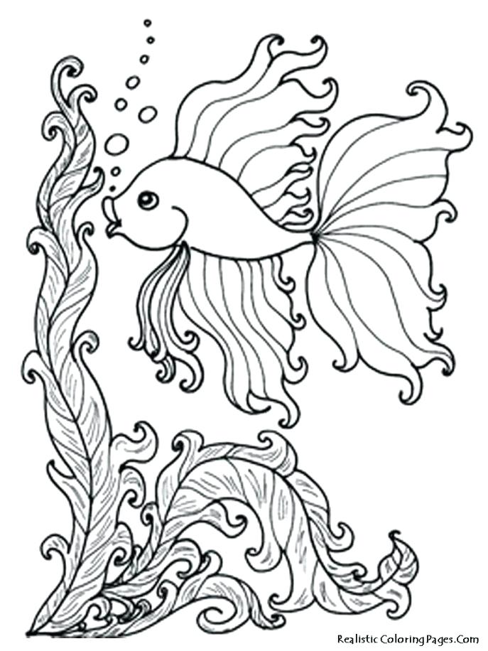687x916 Animal Fish Coloring Pages To Print Shark Coloring Pages Coloring