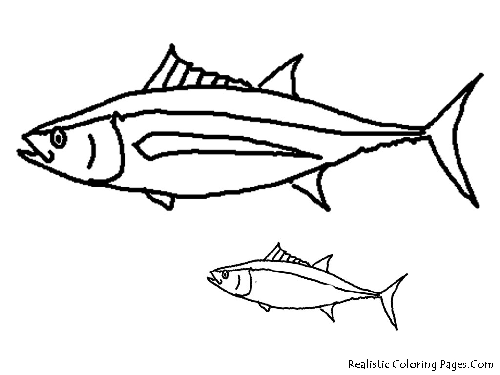 1024x768 Tuna Fish Coloring Page