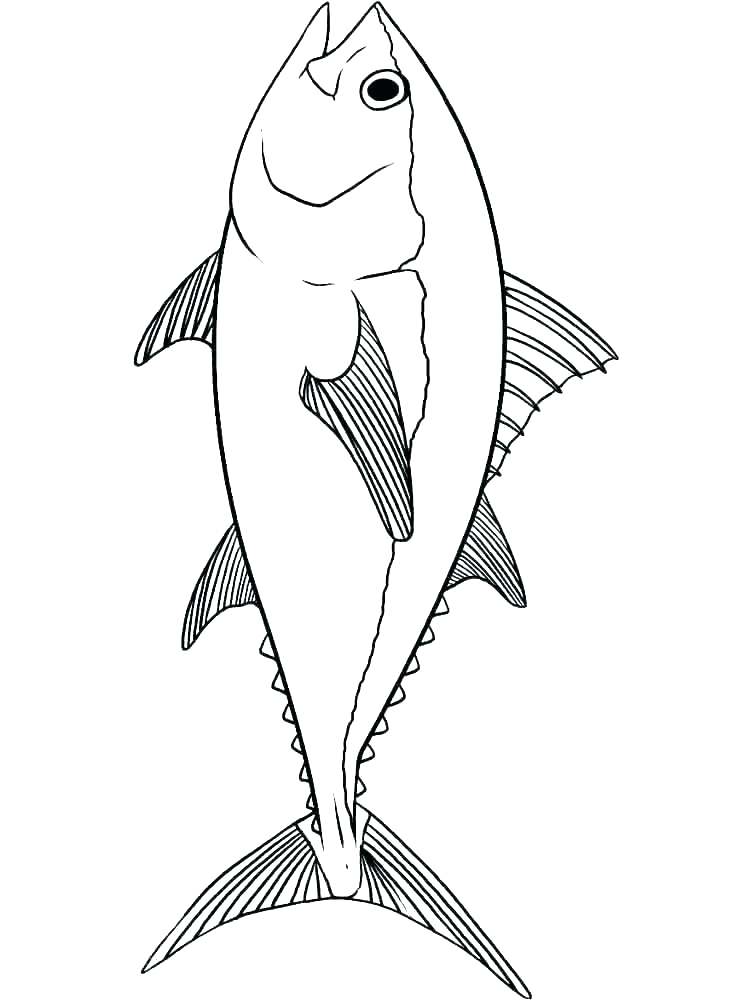 750x1000 Tuna Fish Coloring Page Tuna Fish Coloring Page S S S Coloring