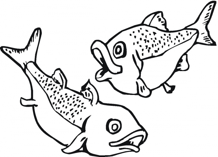 700x506 Tuna Fish Coloring Pages Pdf Inspiring Bridal Shower Ideas