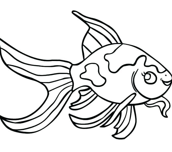 678x600 Coloring Page Of A Fish Coloring Pages Of Fish Fish Coloring Pages