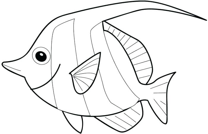 700x452 Coloring Pages For Kids Pdf Tuna Drawing At Free Personal Use