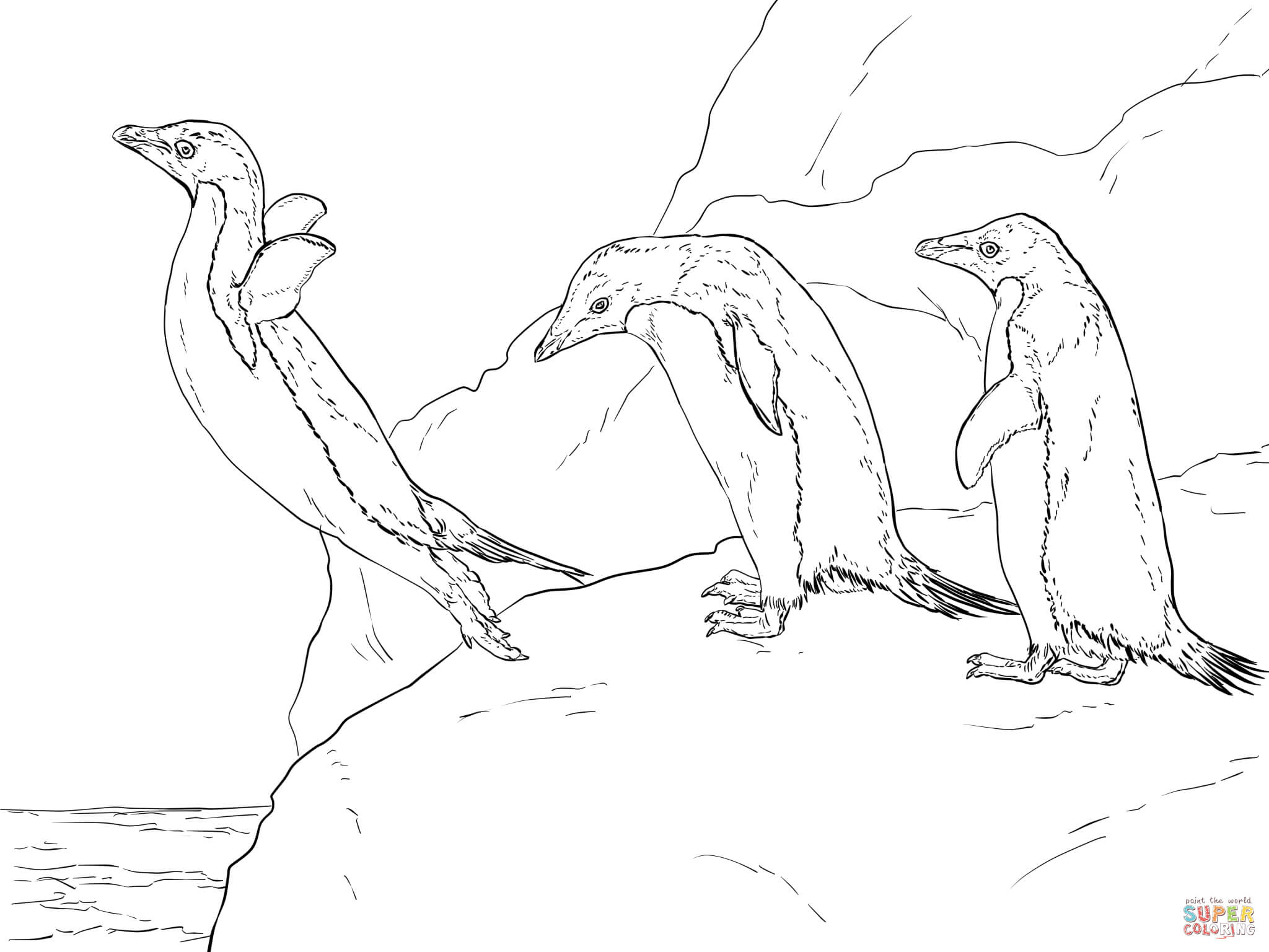 2048x1536 Arctic Tundra Animals Coloring Pages Antarctic Animals Coloring