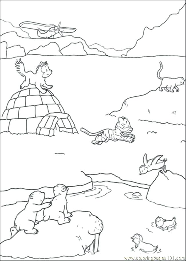 Polar Animals Coloring Pages Arctic Tundra Animals Coloring Pages 650x912 Polar Animals Coloring Pages Arctic Tundra Animals Coloring Pages