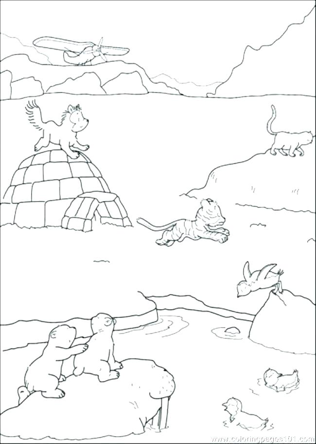 Walrus Coloring Page Walrus Coloring Page Fresh Tundra Animals 650x912 Walrus Coloring Page Walrus Coloring Page Fresh Tundra Animals