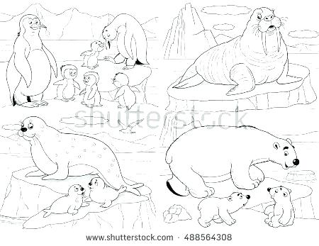 Arctic Animals Coloring Pages Tundra Animals Coloring Pages Arctic 450x347 Arctic Animals Coloring Pages Tundra Animals Coloring Pages Arctic