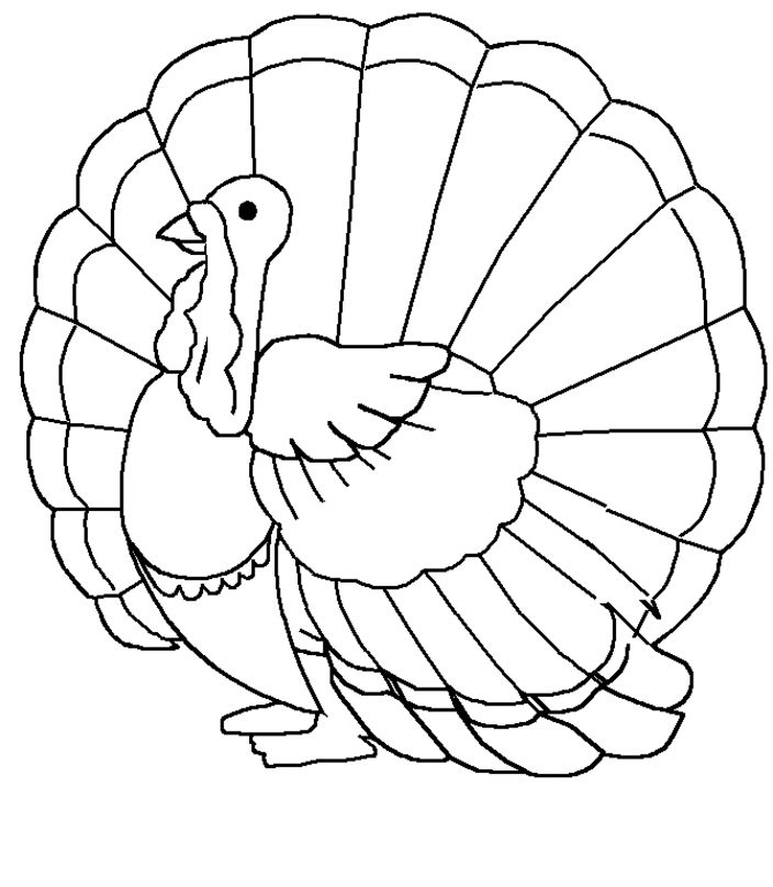 Printable Turkey Coloring Pages 704x807 Printable Turkey Coloring Pages