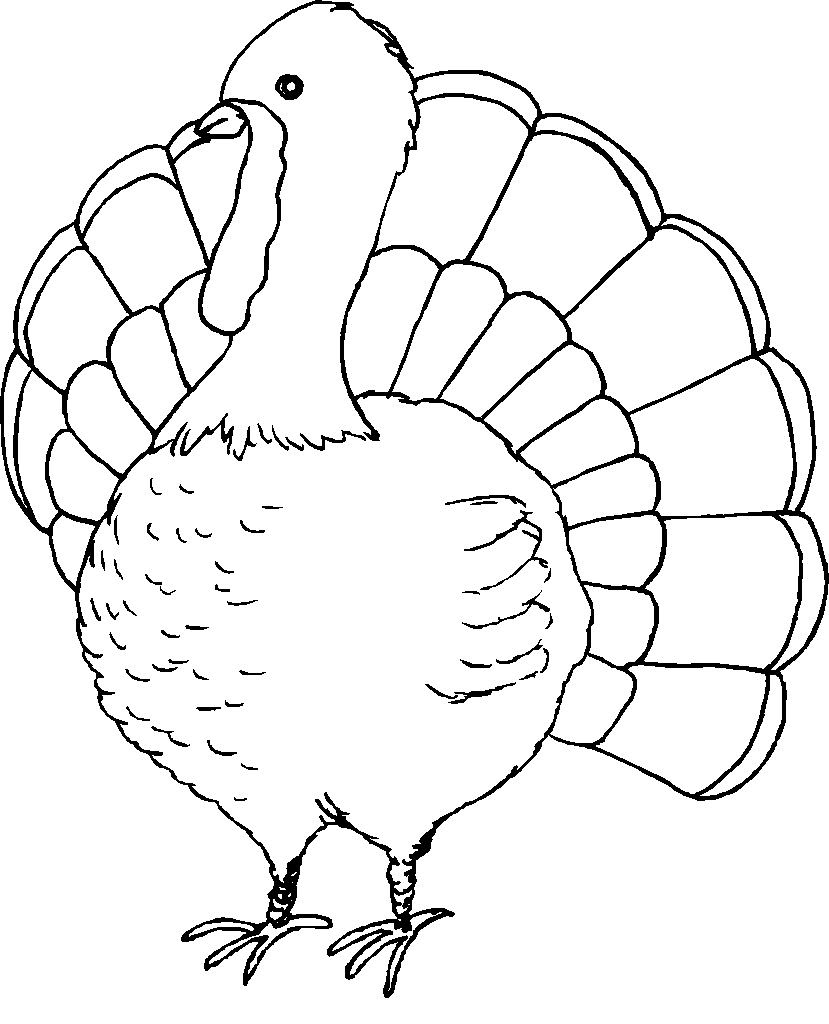Sizable Turkey Bird Coloring Pages Thanksgiving 829x1024 Sizable Turkey Bird Coloring Pages Thanksgiving