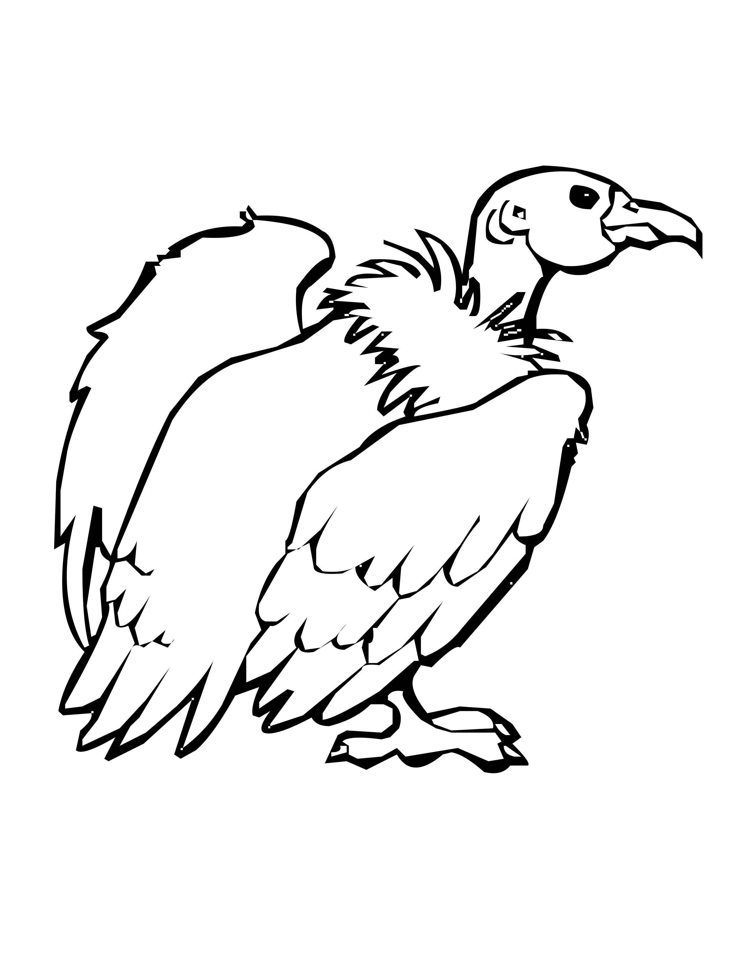 Turkey Vulture Coloring Page, Bird Coloring Pages 2550x3300 Turkey Vulture Coloring Page, Bird Coloring Pages