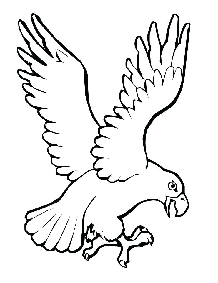 Turkey Bird Coloring Pages Professional 741x960 Turkey Bird Coloring Pages Professional