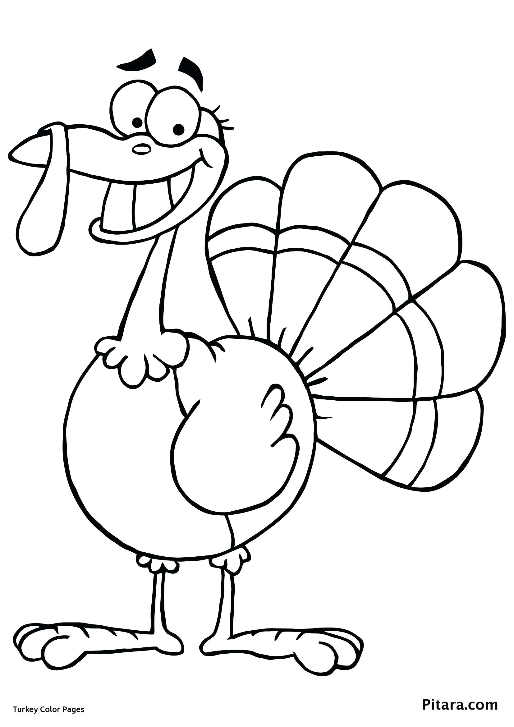 Love Turkey Bird Coloring Pages Security Picture To Color For Kids 1654x2339 Love Turkey Bird Coloring Pages Security Picture To Color For Kids