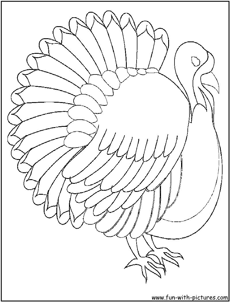 800x1050 Turkey Color Page Lovely Turkey Coloring Pages For Kids Logo