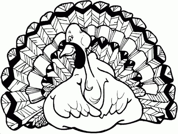 730x551 Free Turkey Advanced Coloring Page For Grown Ups Animal Coloring
