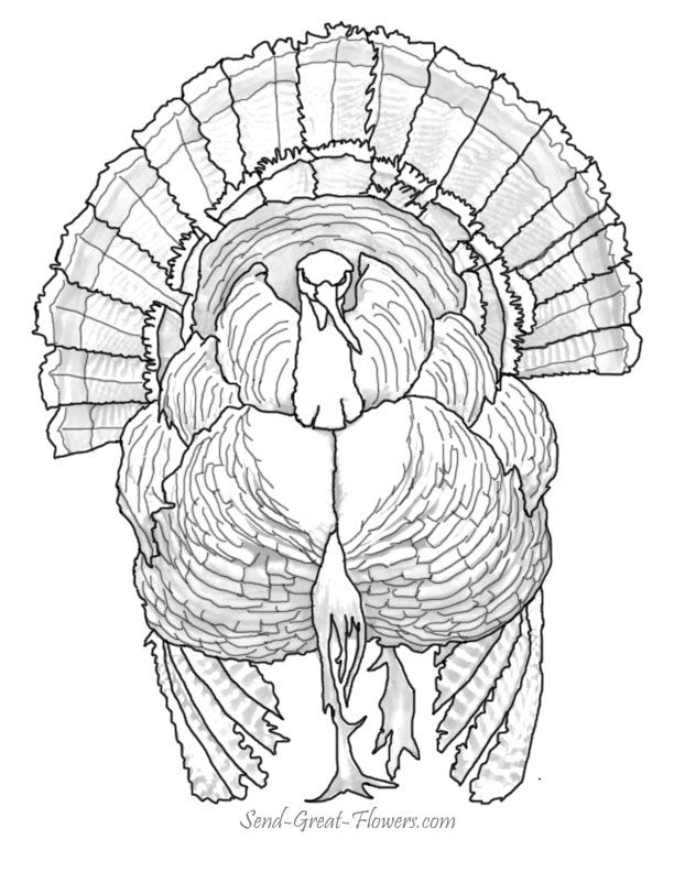 612x792 Enjoy Our Free Thanksgiving Day Coloring Pages! Color