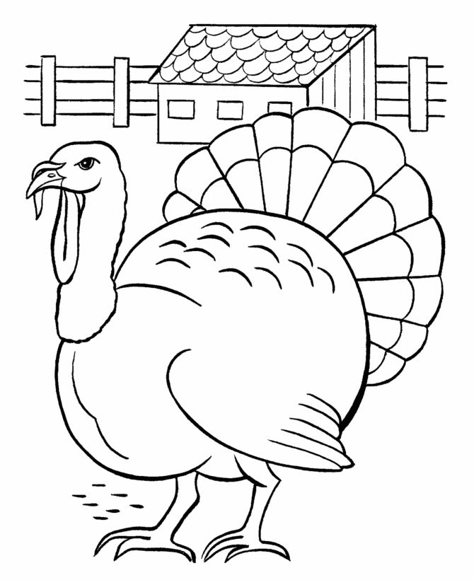 Turkey Coloring Pages For Kids