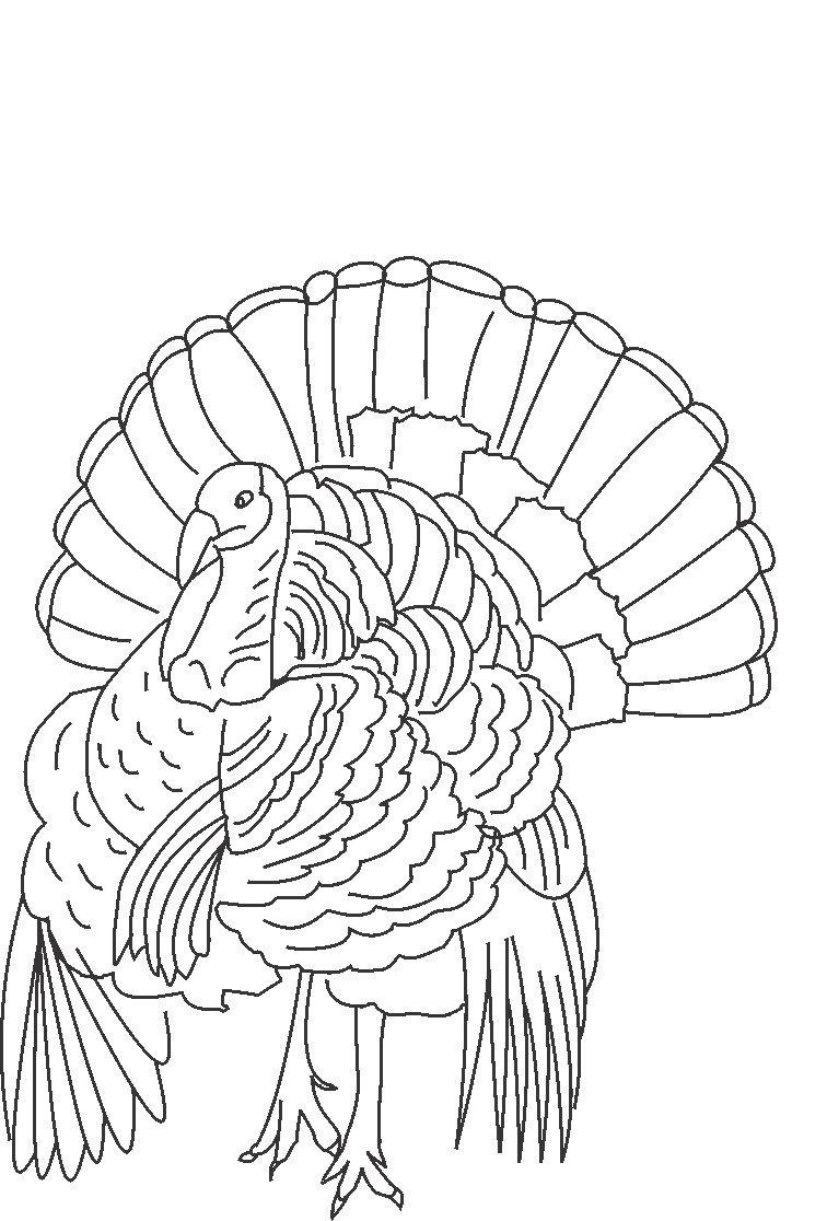 756x1116 Printable Turkey Coloring Pages For Kids