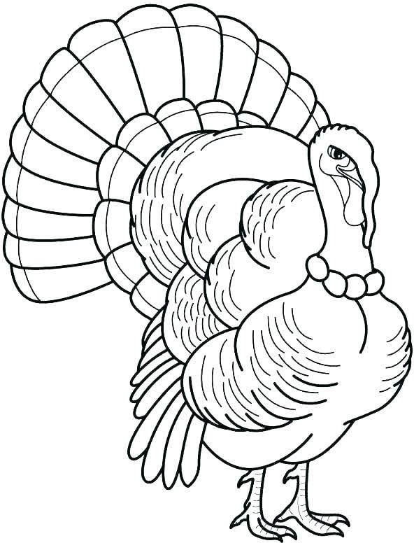 592x776 Coloring Pages Turkey Cooked Turkey Coloring Pages Coloring Page