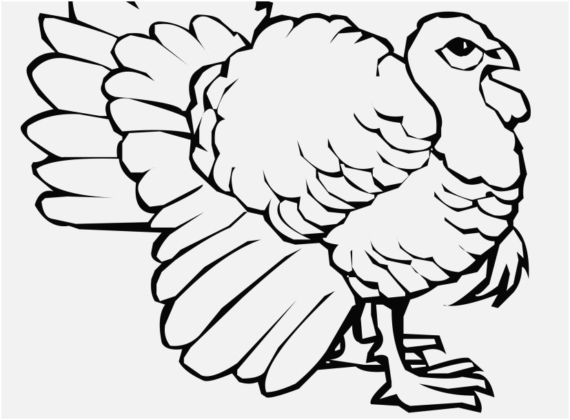 827x609 A Good Stock Turkey Coloring Pages Very Popular