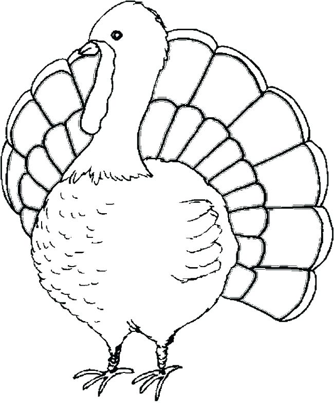 650x802 Turkey Coloring Pages Simple Turkey Coloring Sheets Or Decorating
