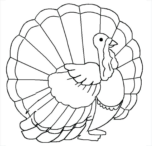 600x579 Free Turkey Coloring Page Coloring Turkey Blank Turkey Coloring