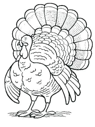 Coloring Page Turkey Turkey Head Coloring Page Coloring Page 318x425 Coloring Page Turkey Turkey Head Coloring Page Coloring Page