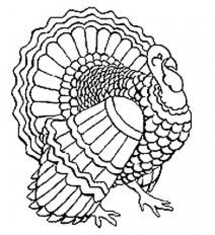 Top 89 Turkey Coloring Pages 736x805 Top 89 Turkey Coloring Pages