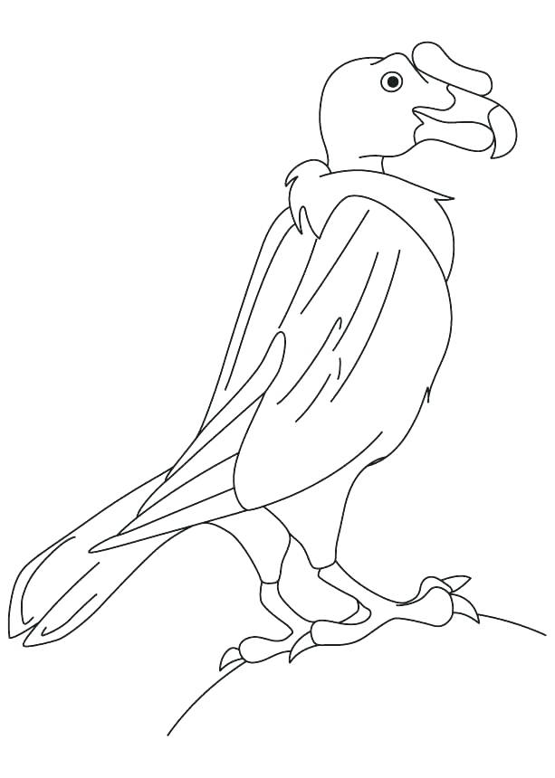 Vulture Coloring Pages Vulture Coloring Pages Many Interesting New 613x860 Vulture Coloring Pages Vulture Coloring Pages Many Interesting New