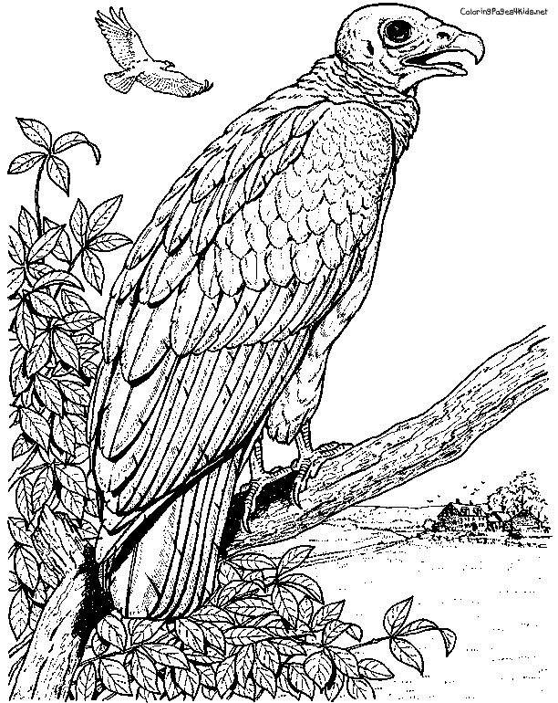 612x770 Tongues Of Fire Coloring Pages