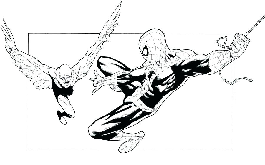 900x561 Vulture Coloring Page Coloring Pages Vulture Coloring Page Turkey