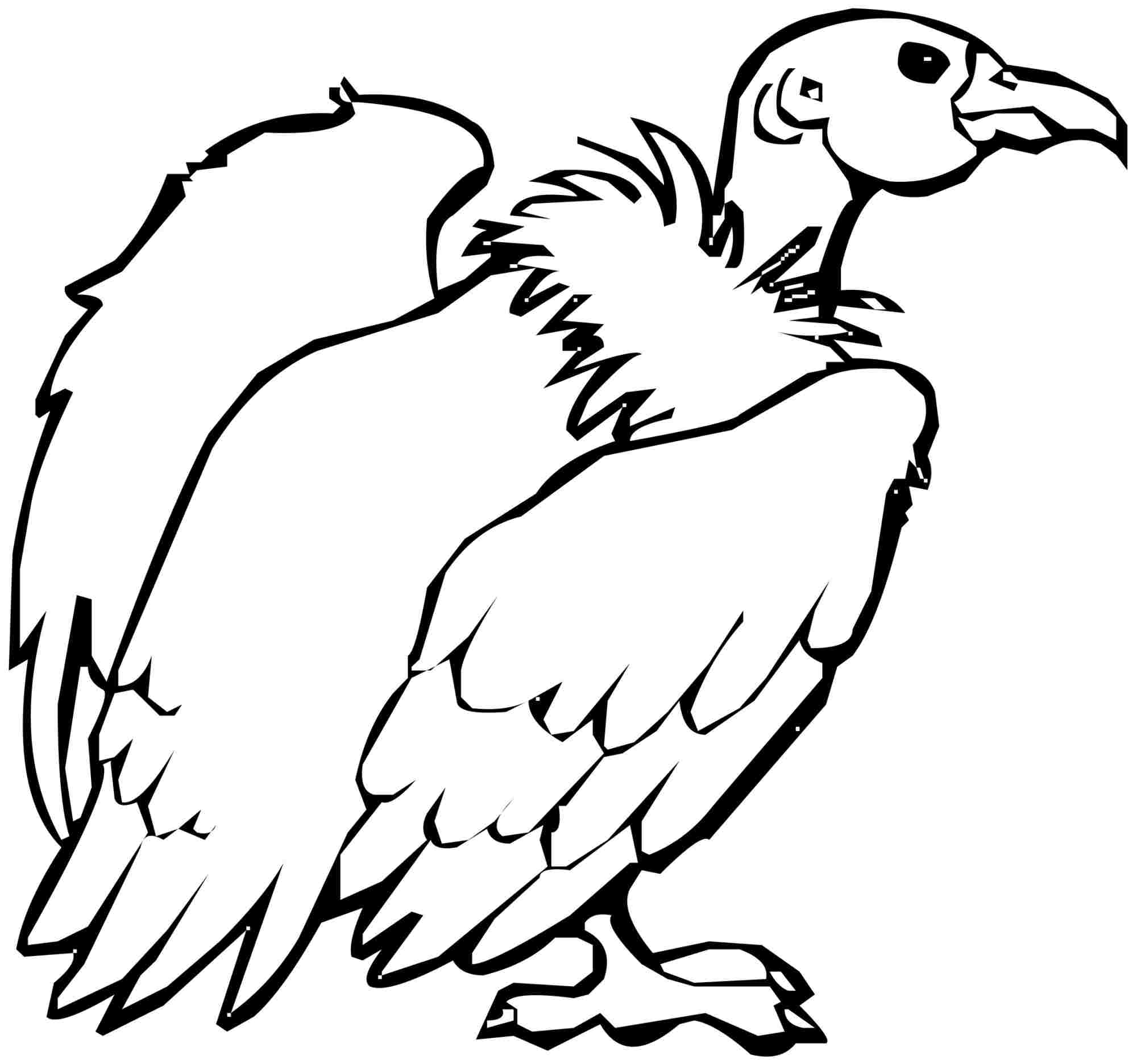 2000x1872 Vulture Coloring Page With 4