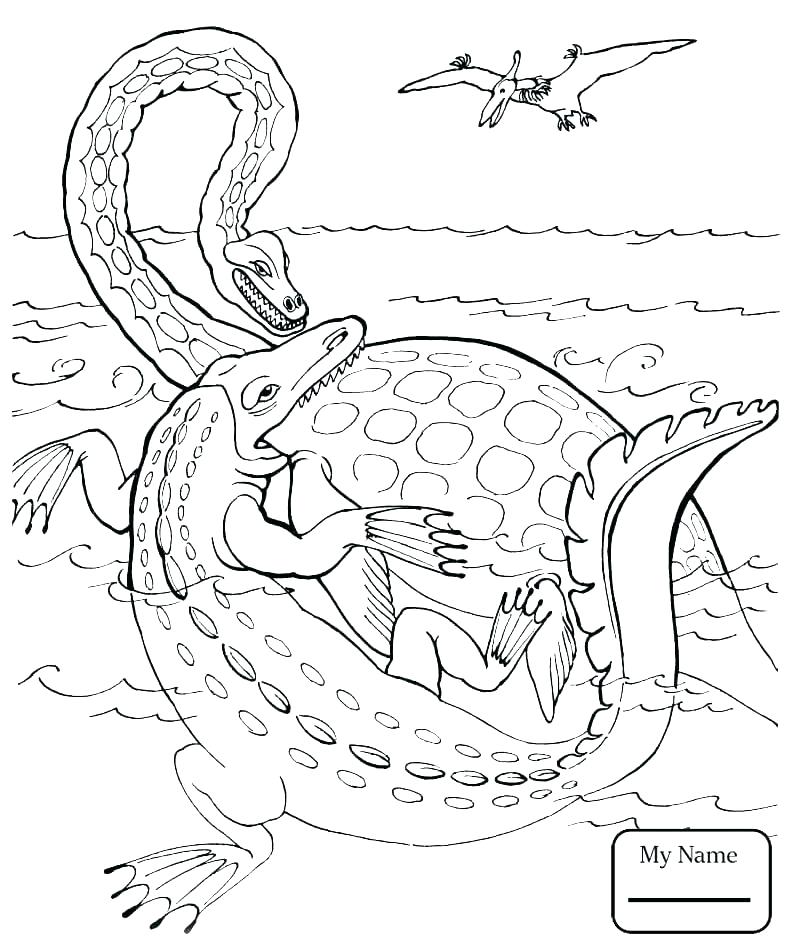 787x951 Vulture Coloring Pages Flying Buzzard Download Coloring Page