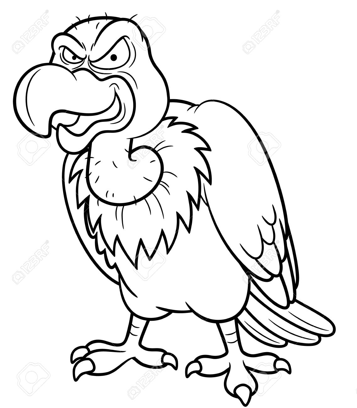 1137x1300 It S Here Vulture Coloring Pages With Page Key