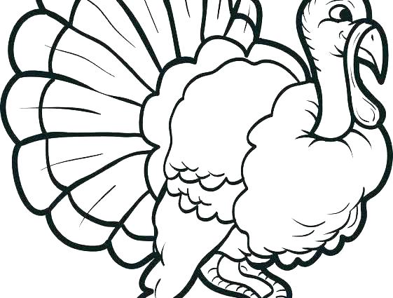 561x425 Vulture Coloring Pages Vultures Birds Coloring Pages 3 Turkey