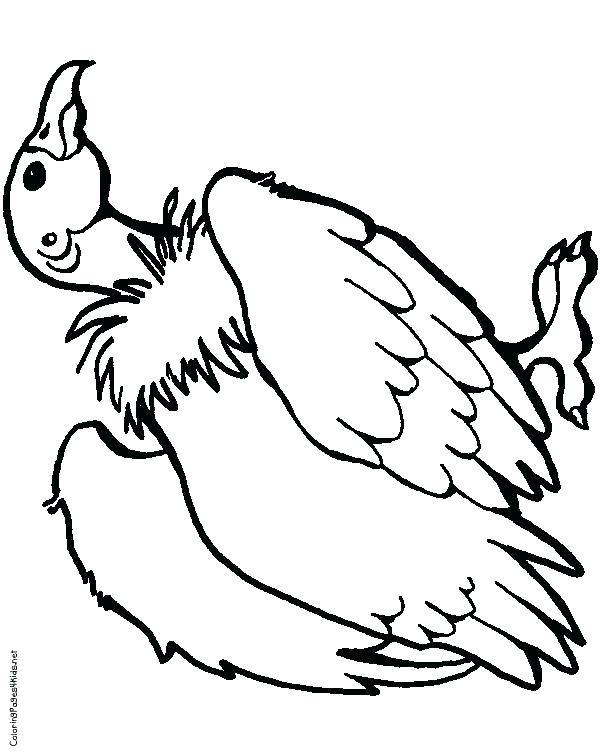600x756 Pigeon Coloring Pages Vulture Coloring Pages Pin Drawn Turkey