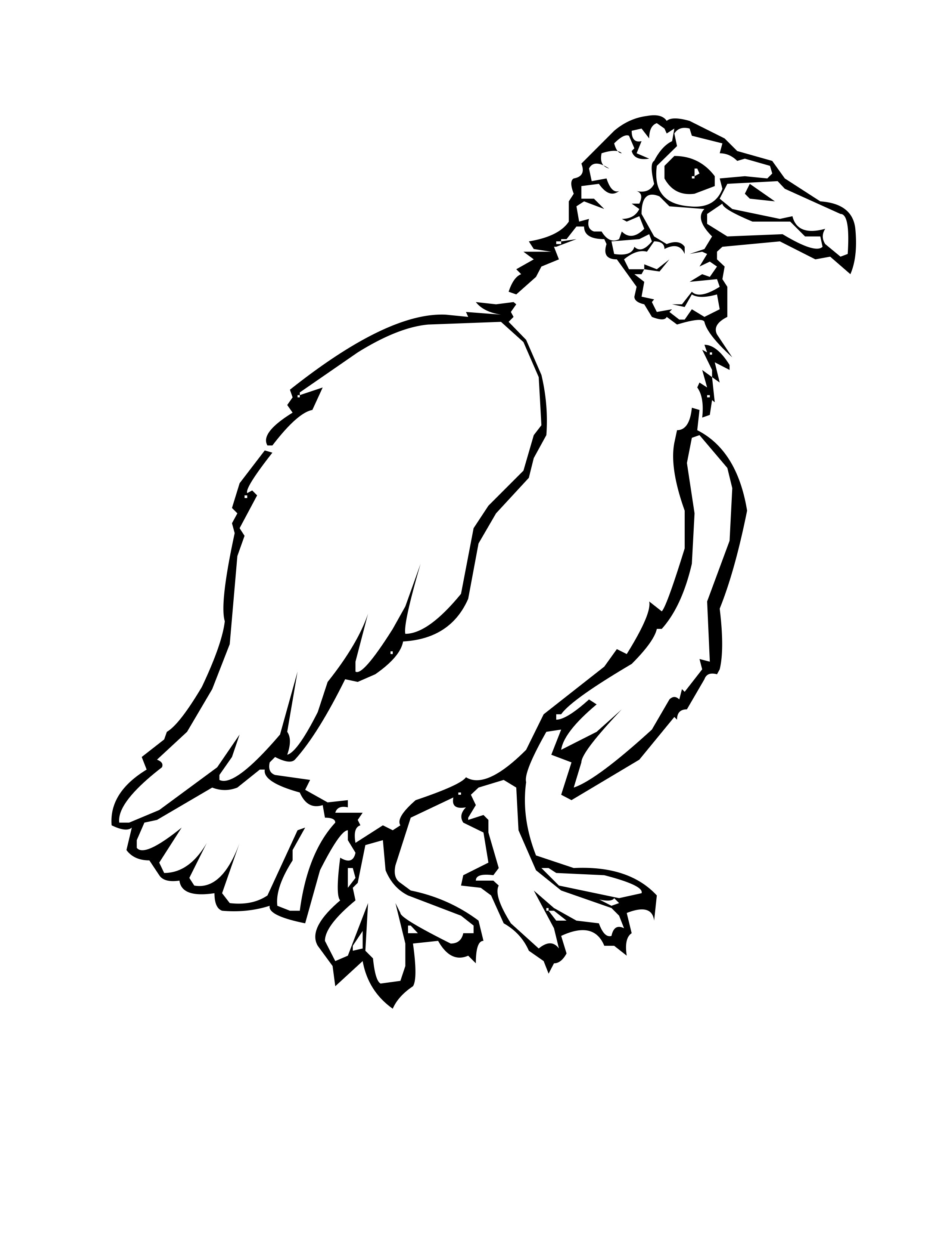 2550x3300 Practical Vulture Coloring Pages Realistic Tur