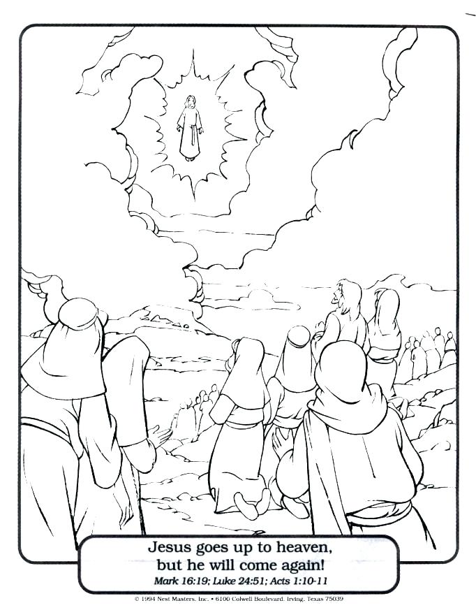 Picture Into Coloring Page Palm The Feast Commemorates Triumphal 682x873 Picture Into Coloring Page Palm The Feast Commemorates Triumphal