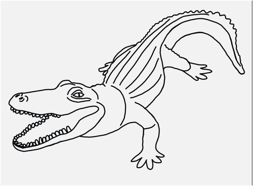 827x609 Turn Pictures Into Coloring Pages Gallery Two American Alligators
