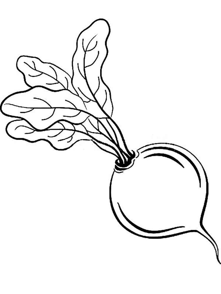 Lettuce Turnip The Beet Kids 750x1000 Lettuce Turnip The Beet Kids