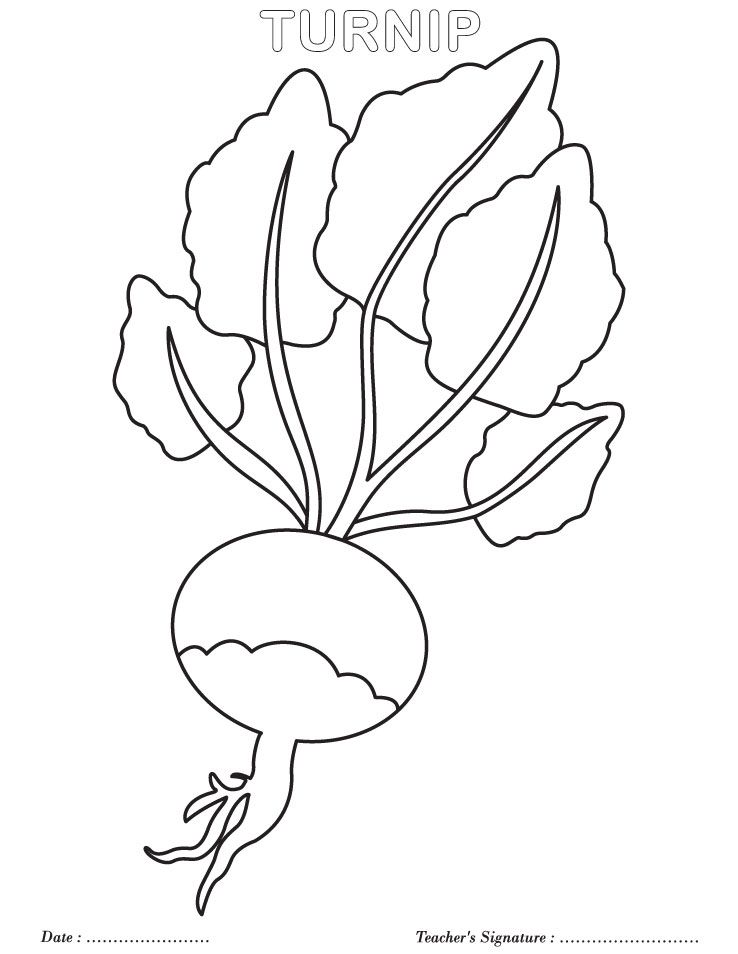 Turnip Coloring Page Giant Turnip Classroom Ideas 738x954 Turnip Coloring Page Giant Turnip Classroom Ideas
