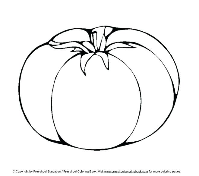 Lettuce Coloring Page 660x584 Lettuce Coloring Page