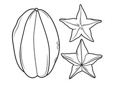 Turnip Line Drawings 236x179 Turnip Line Drawings