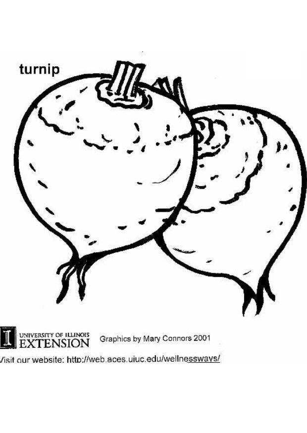 Coloring Page Turnip 620x875 Coloring Page Turnip