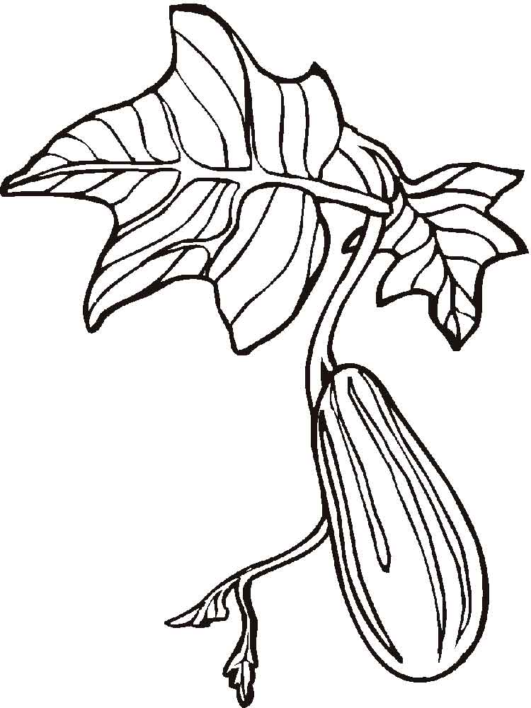 Cucumber Coloring Pages. Download And Print Cucumber Coloring Pages 750x1000 Cucumber Coloring Pages. Download And Print Cucumber Coloring Pages
