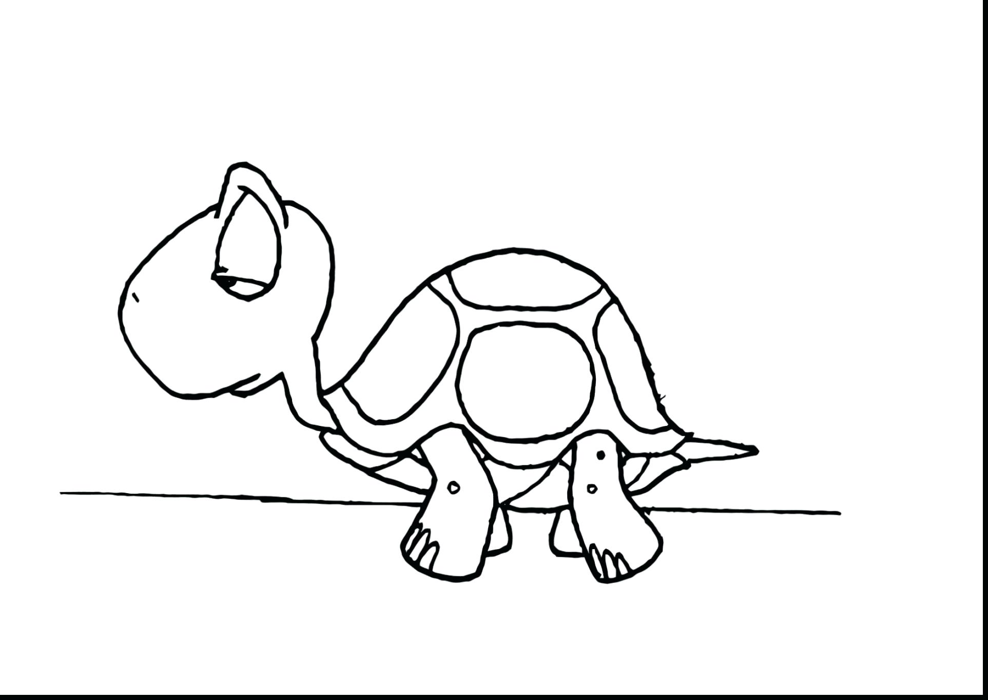 Coloring Pages For Adults Easy Amazing Black And White Lizard Page 1925x1364 Coloring Pages For Adults Easy Amazing Black And White Lizard Page