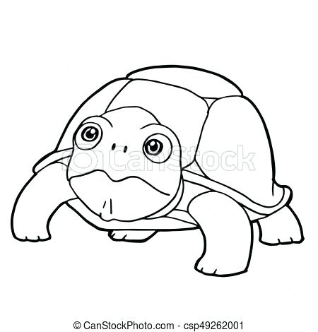 Cartoon Turtle Coloring Pages Turtle Coloring Book Plus Special 450x470 Cartoon Turtle Coloring Pages Turtle Coloring Book Plus Special