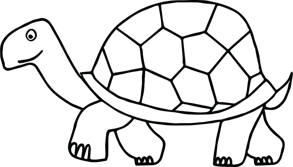 970x556 Ninja Turtle Coloring Pages Cartoon Turtle Coloring Pages Turtle