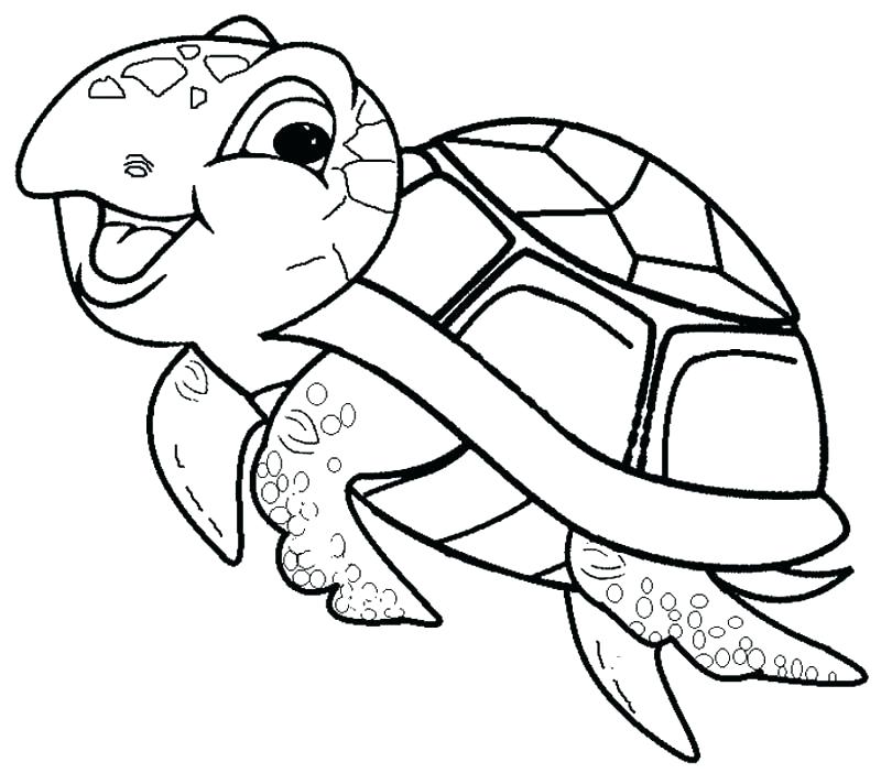 800x712 Sea Turtle Printable Pictures Turtle Coloring Pages Page Image