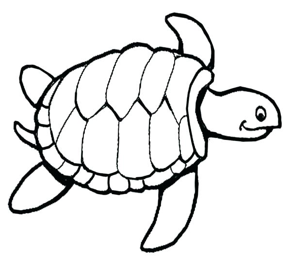600x539 Turtles Coloring Pages Free Sea Turtle Coloring Pages Baby Sea